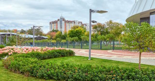 Профессиональное озеленение улиц в Балтийске в октябре