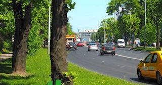 Посадка деревьев и кустарников в Балтийске — стоимость от 1223 руб.